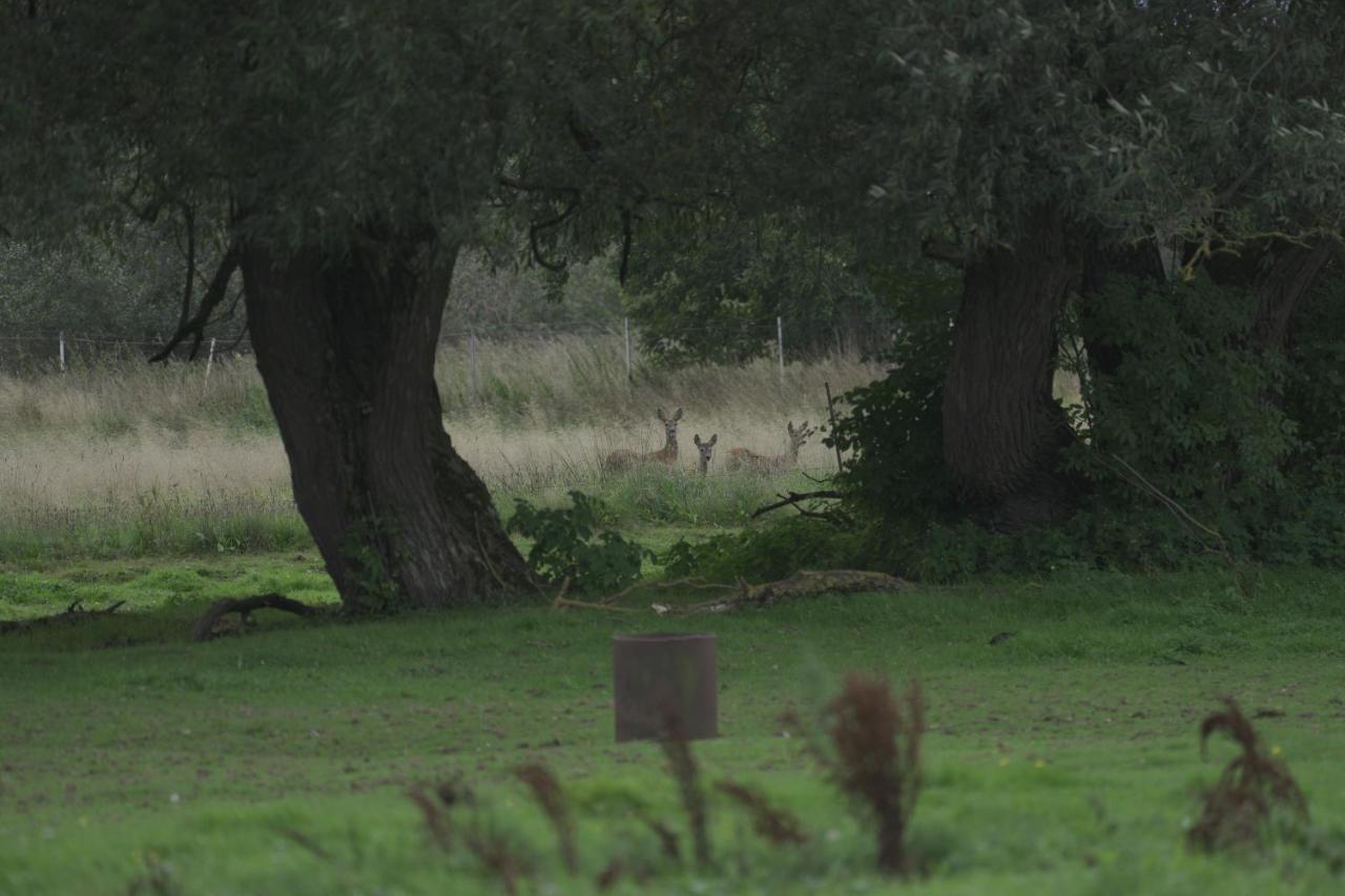 Domki Letniskowe Nad Morzem Darłowo Dış mekan fotoğraf